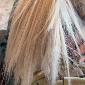 Video by jadescorner8086 published on March 1,2023 06:54:00 - BestThots