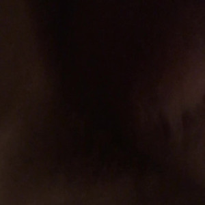Video by the-entertainer published on May 17,2023 07:46:00 - BestThots