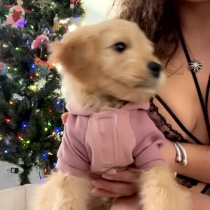 Video by therileyeffect published on August 18,2023 02:52:11 - BestThots