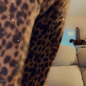 Video by therileyeffect published on March 17,2023 00:08:00 - BestThots