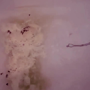 Video by griffonramsey published on April 2,2023 21:05:00 - BestThots