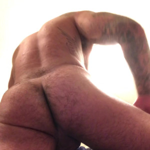 Video by briefsbull published on April 13,2023 01:20:00 - BestThots