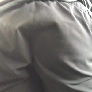 briefsbull #4893880