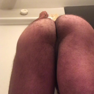 briefsbull #5187495