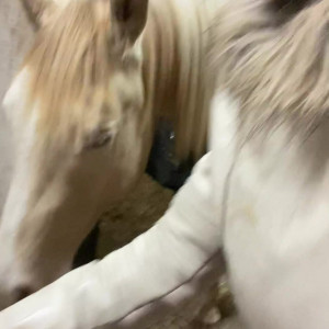 Video by angelwicky published on August 21,2023 03:05:00 - BestThots
