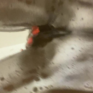 Video by cuntemilli published on March 22,2023 10:34:00 - BestThots