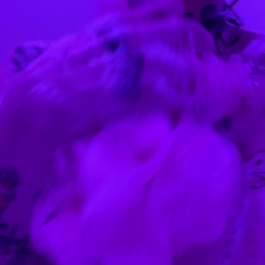 f_urbee #5511793
