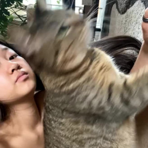 touch0fvenus #3987411