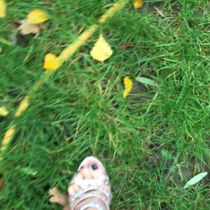 Video by missellajolie published on April 11,2023 19:14:00 - BestThots