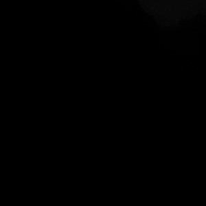 Video by melodyradford published on March 8,2023 00:19:00 - BestThots