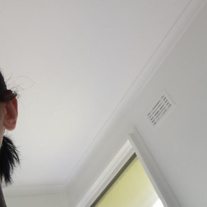 Video by melodyradford published on April 4,2023 12:22:00 - BestThots