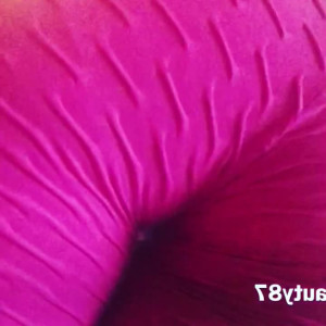 Video by melodyradford published on March 27,2023 08:17:00 - BestThots