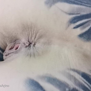 Video by melodyradford published on March 19,2023 16:50:00 - BestThots