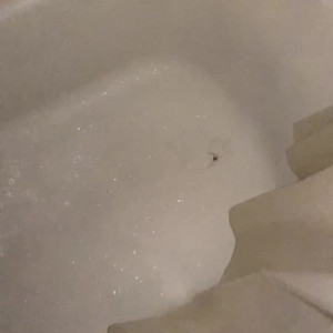 Video by yourgirlmillie published on April 25,2023 18:34:00 - BestThots
