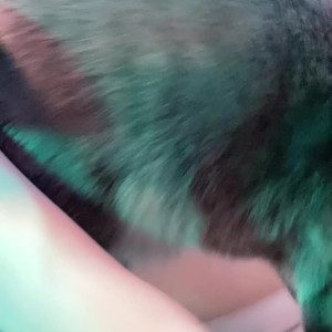 Video by notmeggii published on June 4,2023 10:34:00 - BestThots