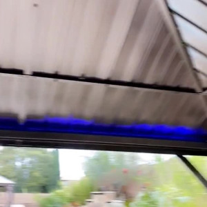 Video by crystalknight published on August 23,2023 21:09:00 - BestThots