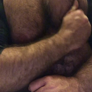 therealturkishbear #5496723