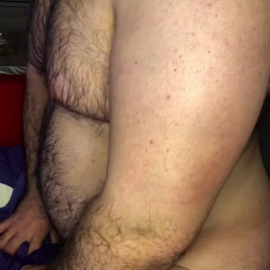 therealturkishbear #5659461