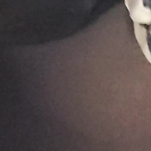 Video by aaimztako published on November 20,2023 14:43:32 - BestThots