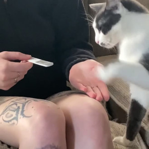 Video by gingerteen published on April 5,2023 17:21:00 - BestThots