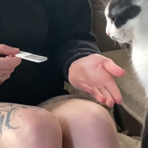 Video by gingerteen published on May 30,2023 00:49:00 - BestThots