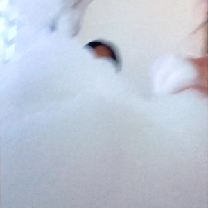 Video by lexibarr98 published on April 7,2023 22:58:00 - BestThots