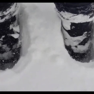 Video by ivysrevenge published on August 18,2023 04:23:38 - BestThots