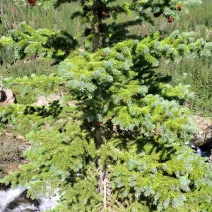 Video by ivysrevenge published on August 18,2023 04:01:17 - BestThots