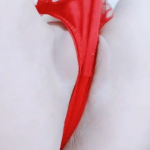 Video by katyuskamoonfox published on July 31,2023 21:56:00 - BestThots