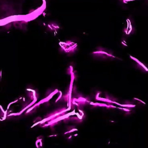 Video by meninaveneno75 published on June 30,2023 07:50:00 - BestThots