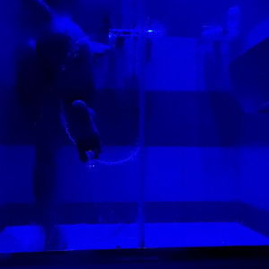 Video by martinasmeraldiofficial published on May 6,2023 15:59:00 - BestThots