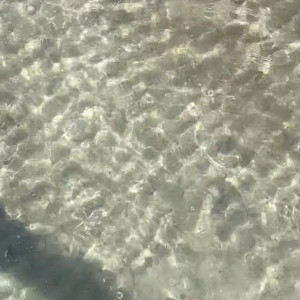 Video by martinasmeraldiofficial published on August 23,2023 22:48:00 - BestThots