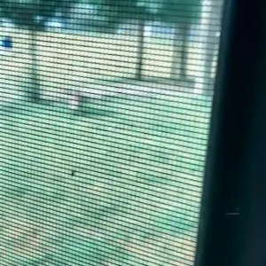 Video by vmberr published on May 22,2023 08:44:00 - BestThots