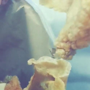 Video by kansaseatbeef published on April 29,2023 15:28:00 - BestThots