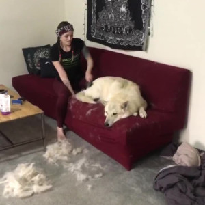 Video by redwillow9269 published on June 25,2023 04:37:00 - BestThots