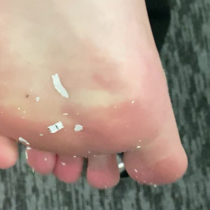 elsiesoles #4162923