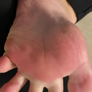 elsiesoles #4208384