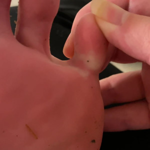 Video by elsiesoles published on April 16,2023 16:58:00 - BestThots