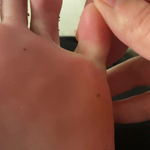 elsiesoles #4494109