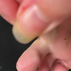 Video by elsiesoles published on March 16,2023 02:18:00 - BestThots