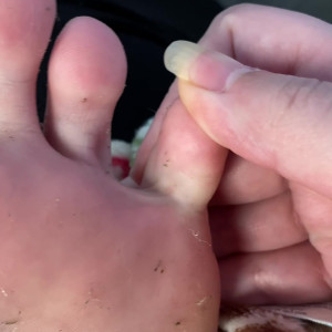 Video by elsiesoles published on March 28,2023 11:01:00 - BestThots
