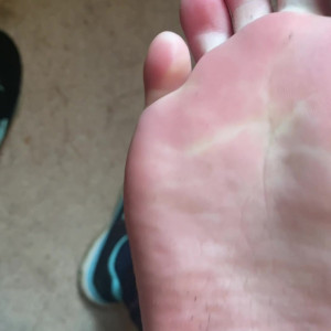 elsiesoles #4707194