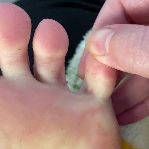 elsiesoles #4778010