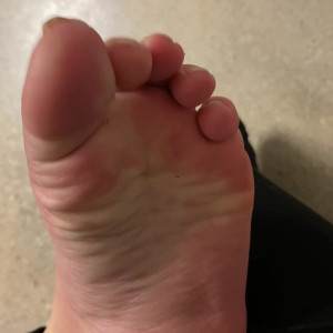 elsiesoles #4902535