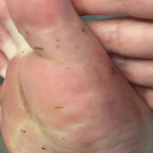 elsiesoles #4927839