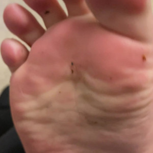elsiesoles #4976703