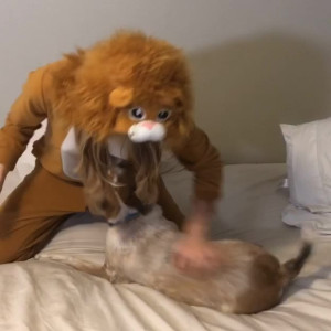 Video by yl_angel published on June 22,2023 19:49:00 - BestThots