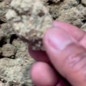 thicklisttv.pov #3348625