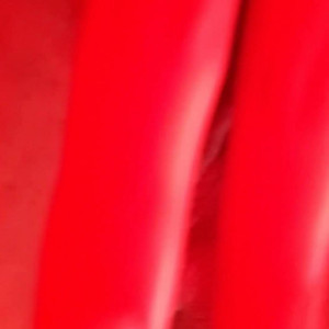 amandarabbit #4818541