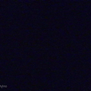 Video by vampbussy published on March 13,2023 20:49:00 - BestThots